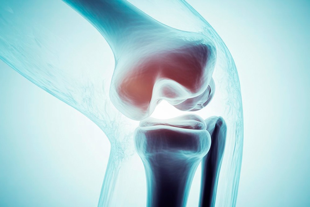 «Инженерная проверка» вашего тела! Почему чекап «Костная система» – залог вашей активности