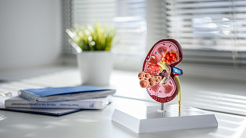 Дистанционная ударно-волновая литотрипсия: лечение мочекаменной болезни без операции в клинике «Консилиум» Дистанционная ударно-волновая литотрипсия: лечение мочекаменной болезни без операции в клинике «Консилиум»